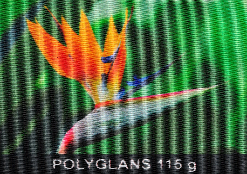 Polyglans 115 g